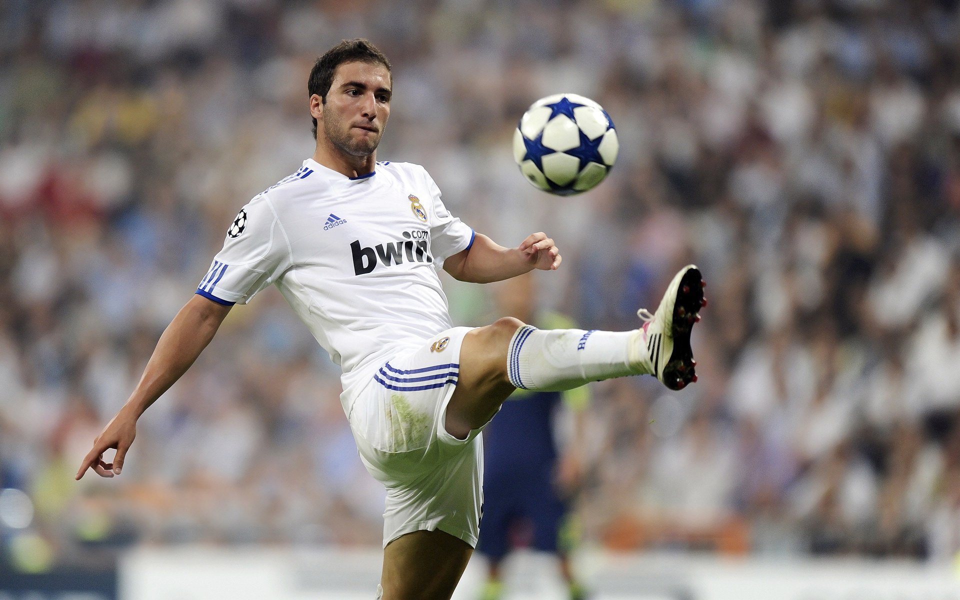 体育赛事直播-布伦森完美发挥，浙江队生死战取胜公牛