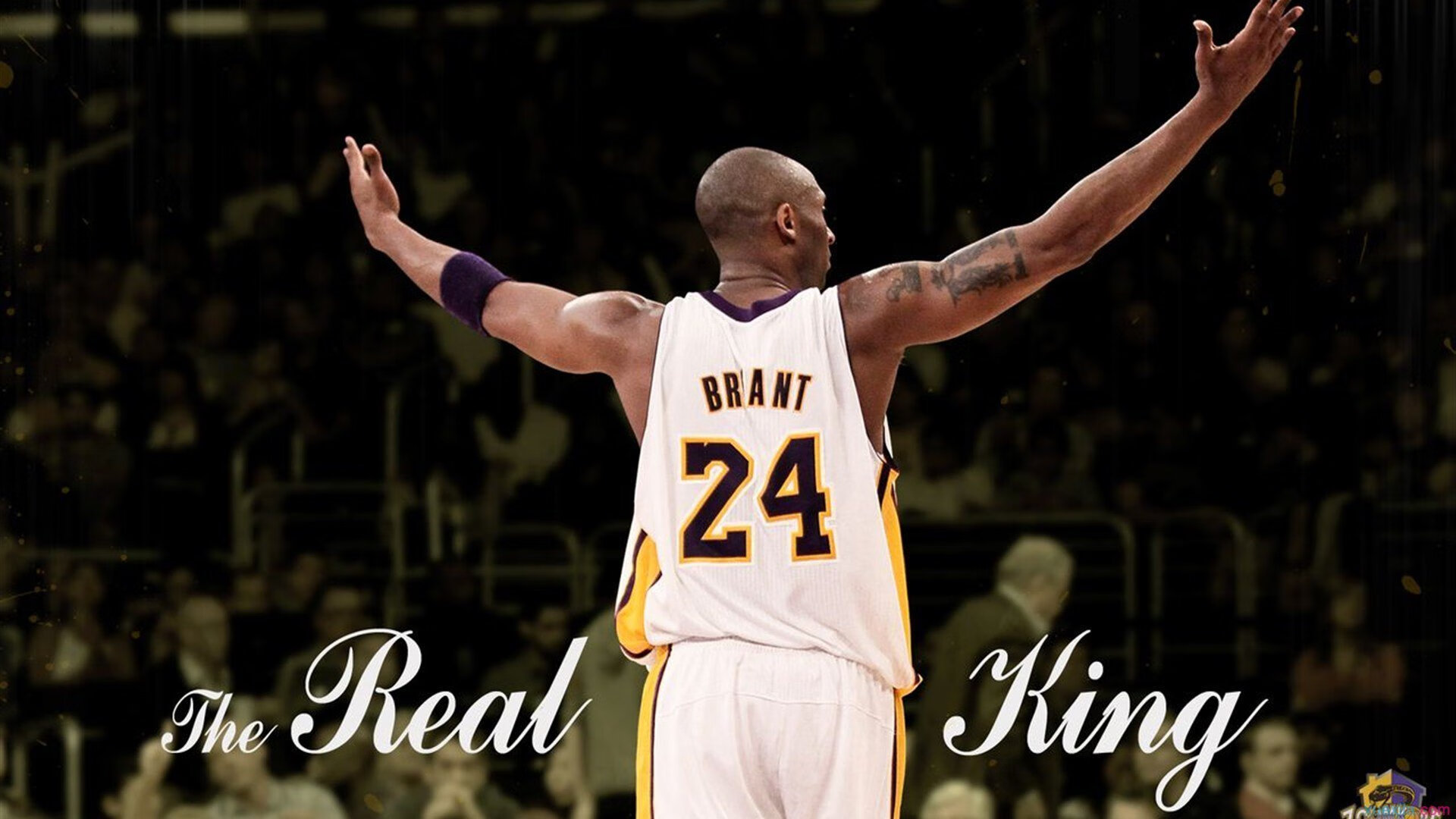 胡金秋扛起全队，凯尔特人式翻盘广州队背后的精神密码